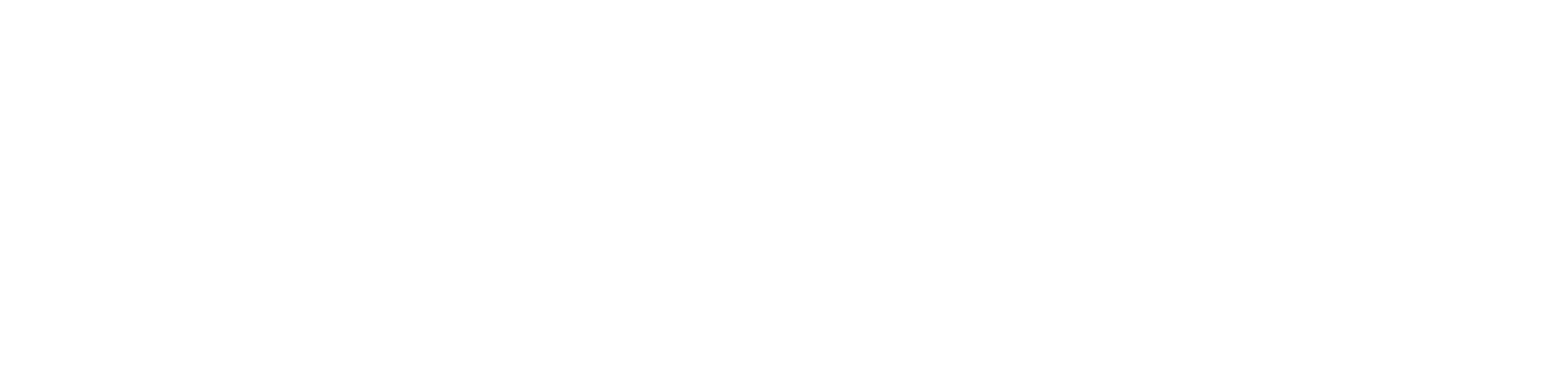 logo web
